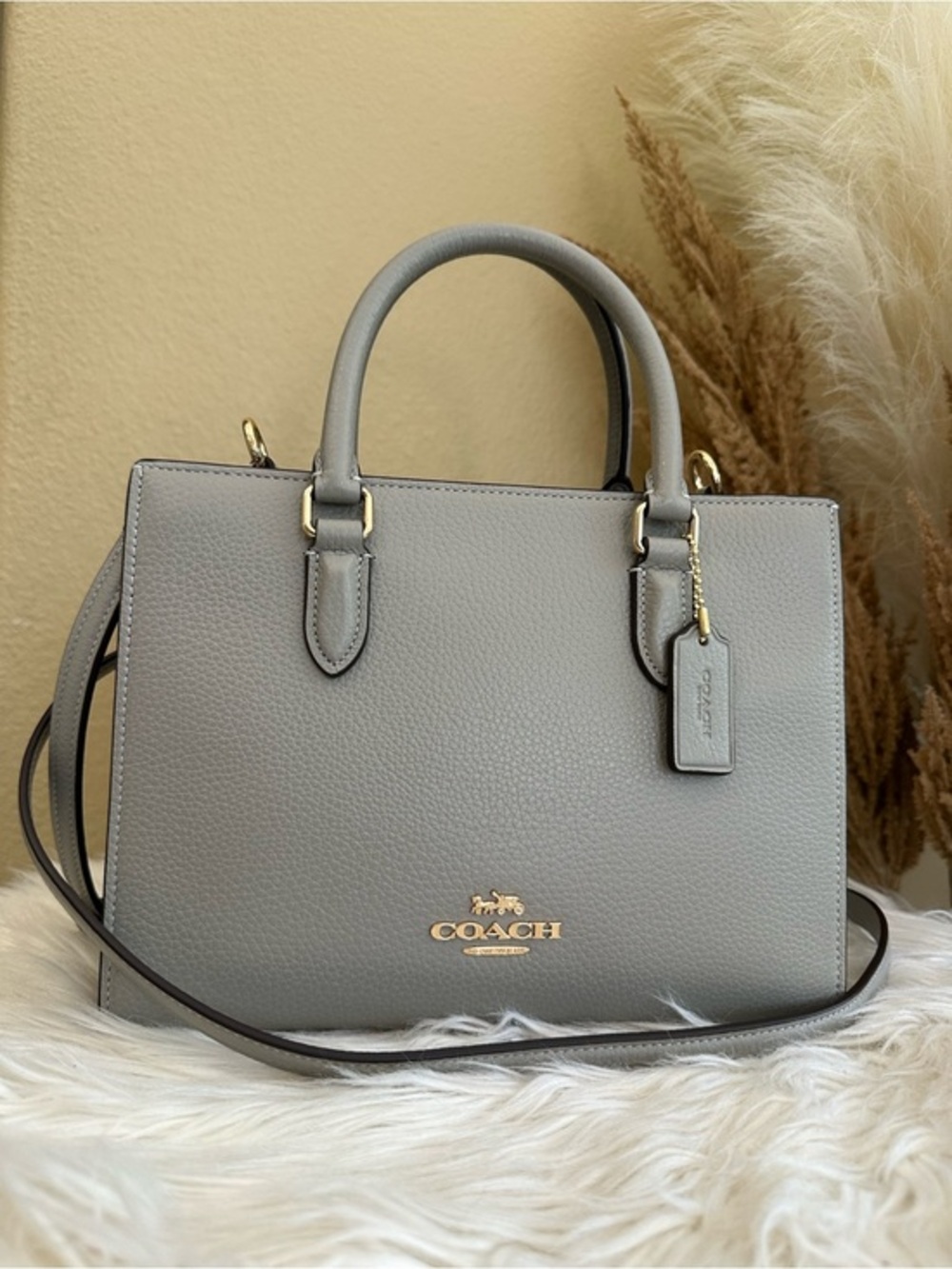 Coach Maggie Small Tote Bag